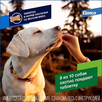 Дронтал Плюс XL для крупных собак