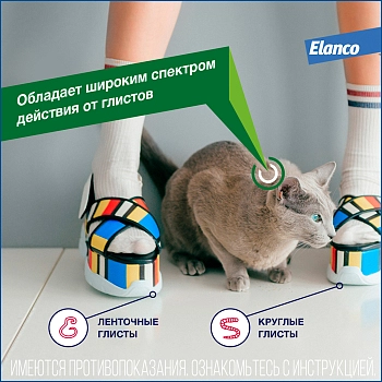 Дронтал для кошек