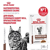 Royal Canin Gastrointestinal Moderate Calorie пауч для кошек при патологии ЖКТ (кусочки в соусе)