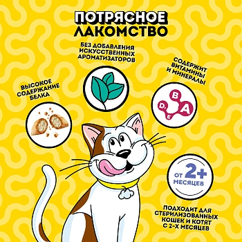 Dreamies лакомые подушечки
