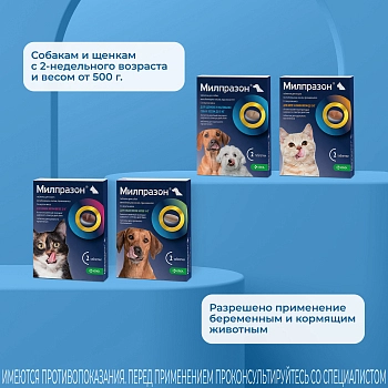 Милпразон антигельминтный препарат для собак менее 5 кг