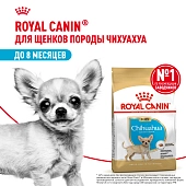Royal Canin Chihuahua Puppy для щенков породы чихуахуа