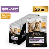 PRO PLAN HEALTHY START пауч для котят (в желе)