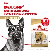 Royal Canin German Shepherd Adult для собак породы немецкая овчарка