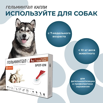 Гельминтал spot-on для собак более 10кг