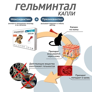 Гельминтал spot-on для кошек 4-10кг