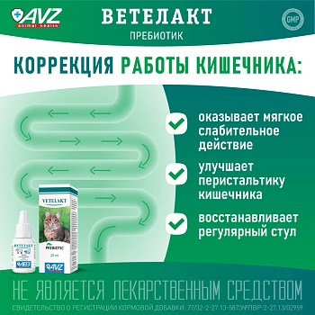 Ветелакт