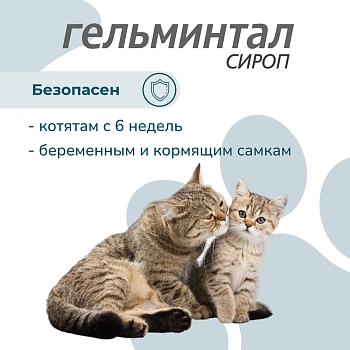 Гельминтал сироп для котят и кошек до 4кг