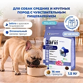 Jarvi сухой полнорационный корм для взрослых собак средних и крупных пород с чувствительным пищеварением