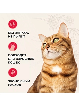Van Cat наполнитель минеральный комкующийся Натуральный