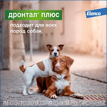 Дронтал Плюс для собак