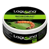Laguna зофобас консервированный