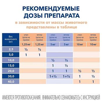 Ветмедин таблетки для лечения сердечно-сосудистых заболеваний у собак