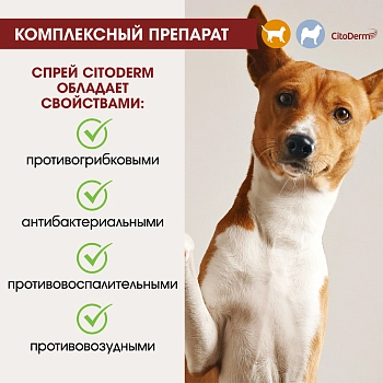 Цитодерм спрей противогрибковый для кошек и собак