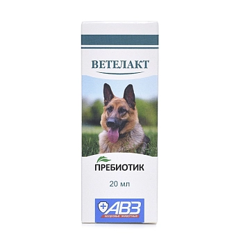 Ветелакт