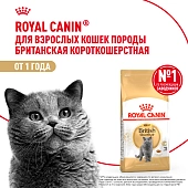 Royal Canin British Shorthair Adult для взрослых кошек британской короткошерстной породы