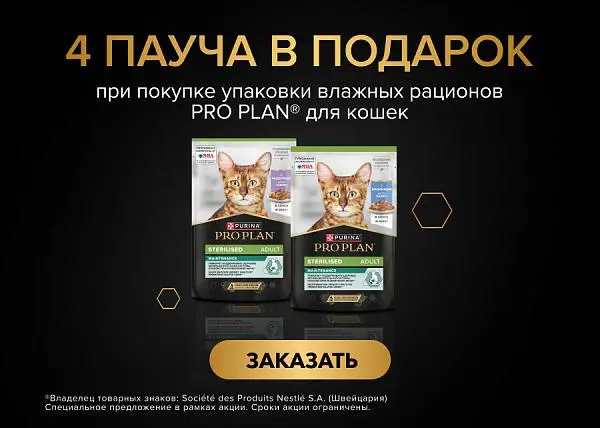 26+4 на паучи PRO PLAN для кошек