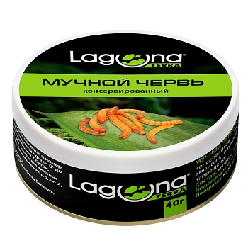 Laguna мучной червь консервированный