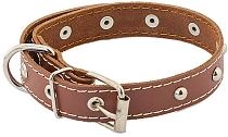 HOMEPET ошейник для собак кожаный с украшениями простроченный