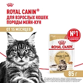 Royal Canin Maine Coon Adult пауч для кошек породы мейн кун (кусочки в соусе)