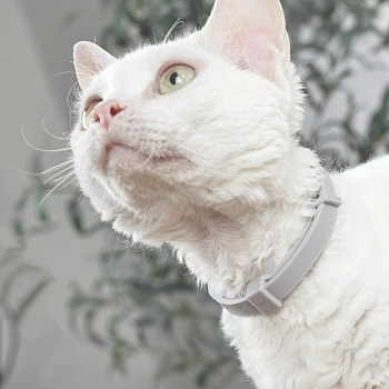 M-Pets Keep calm ошейник успокаивающий с феромонами для кошек