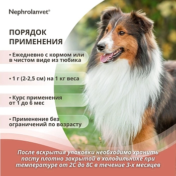 Нефроланвет паста для кошек и собак